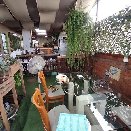 717 Pizarro Guesthouse 트루히요 외부 사진