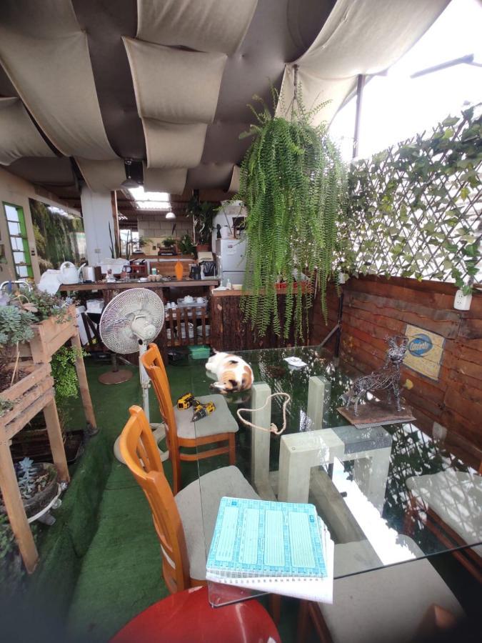 717 Pizarro Guesthouse 트루히요 외부 사진